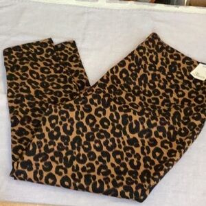 NWT Terra & sky pant